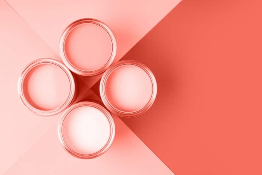 COULEUR DE L’ANNÉE 2019 | CORAIL VIVANT